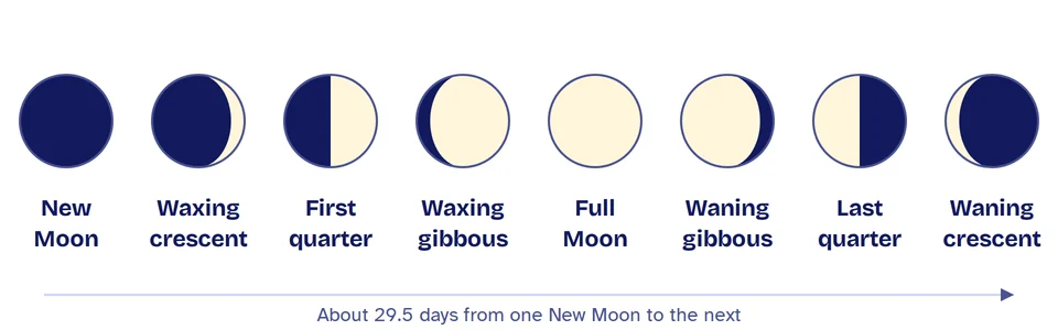 The eight phases of the Moon in order: new, waxing crescent, first quarter, waxing gibbous, full, waning gibbous, last quarter and waning crescent